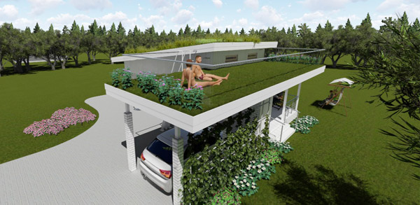 Green House 49